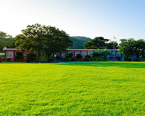 洪雅中学校园风景